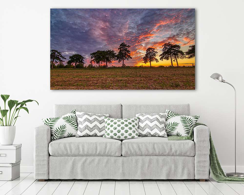 Fenyves allé - vászonkép, falikép vásárlás Fenyves allé (fotótapéta) - vászonkép, falikép otthonra és irodába