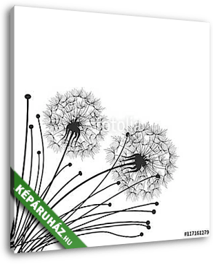 Dandelions - vászonkép 3D látványterv