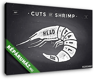 Cut of meat set. Poster Butcher diagram and scheme - Shrimp - vászonkép 3D látványterv