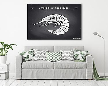 Cut of meat set. Poster Butcher diagram and scheme - Shrimp (vászonkép) - vászonkép, falikép otthonra és irodába