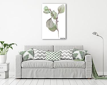 watercolor illustration eucalyptus (vászonkép) - vászonkép, falikép otthonra és irodába