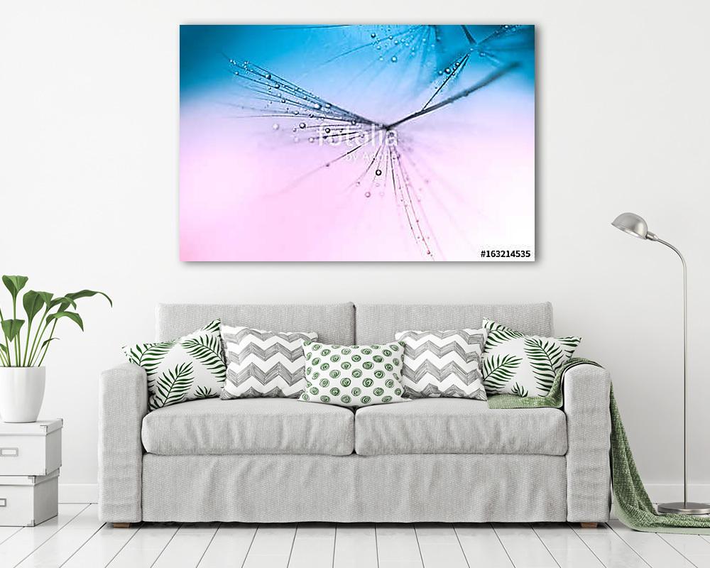 Dandelion close up small water drops on a pink blue background.  - vászonkép, falikép vásárlás Dandelion close up small water drops on a pink blue background.  (vászonkép) - vászonkép, falikép otthonra és irodába