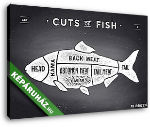 Cut of meat set. Poster Butcher diagram and scheme - Fish - vászonkép 3D látványterv