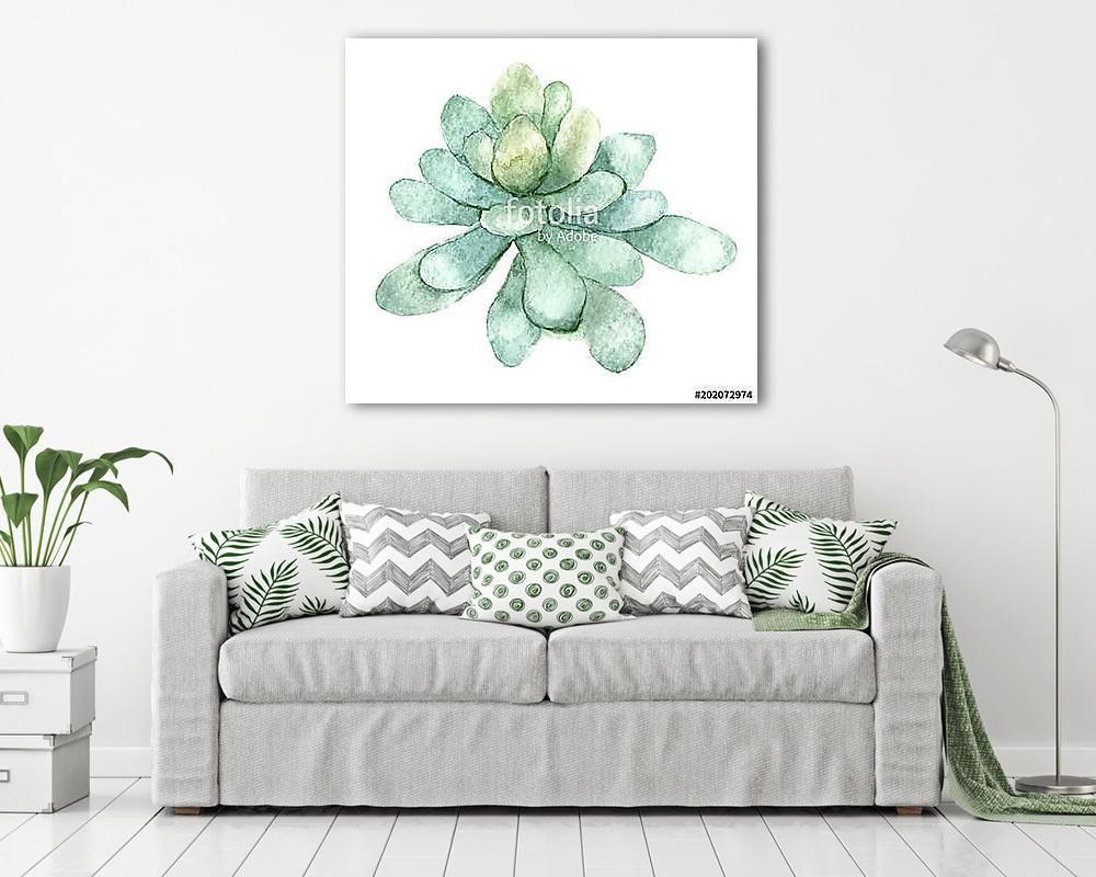 succulent in watercolor (fotótapéta) - vászonkép, falikép otthonra és irodába