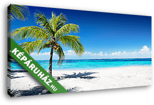 Scenic Coral Beach With Palm Tree
 - vászonkép 3D látványterv
