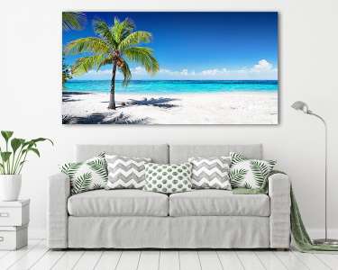 Scenic Coral Beach With Palm Tree
 (vászonkép) - vászonkép, falikép otthonra és irodába