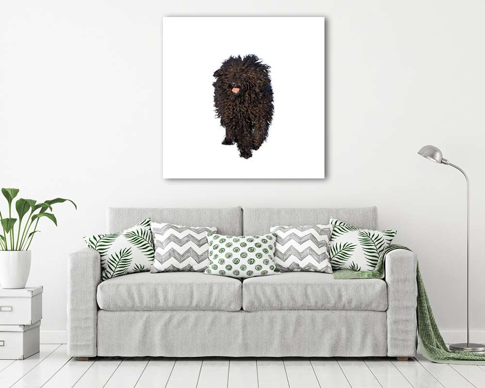 Fekete puli (többrészes kép) - vászonkép, falikép otthonra és irodába