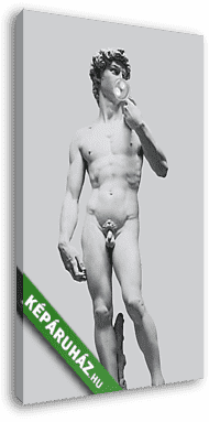 Dávid szobor rózsaszín rágógumi lufival (Barokk & Graffiti) - vászonkép 3D látványterv