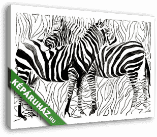 zebrák - vászonkép 3D látványterv