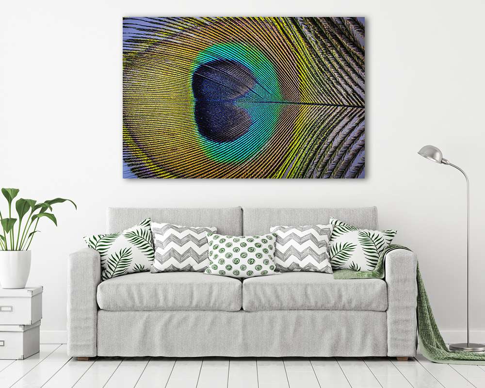 páva toll makró fotó (keretezett kép) - vászonkép, falikép otthonra és irodába