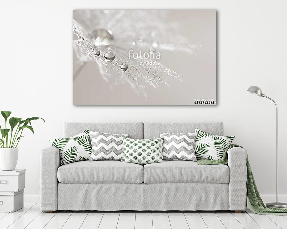 Macro of dandelion with silver drops of dew. Selective focus - vászonkép, falikép vásárlás Macro of dandelion with silver drops of dew. Selective focus (fotótapéta) - vászonkép, falikép otthonra és irodába
