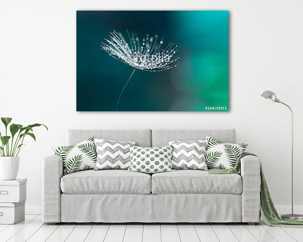 Water drop on a dandelion seed. Dandelion closeup. - vászonkép, falikép vásárlás Water drop on a dandelion seed. Dandelion closeup. (vászonkép) - vászonkép, falikép otthonra és irodába