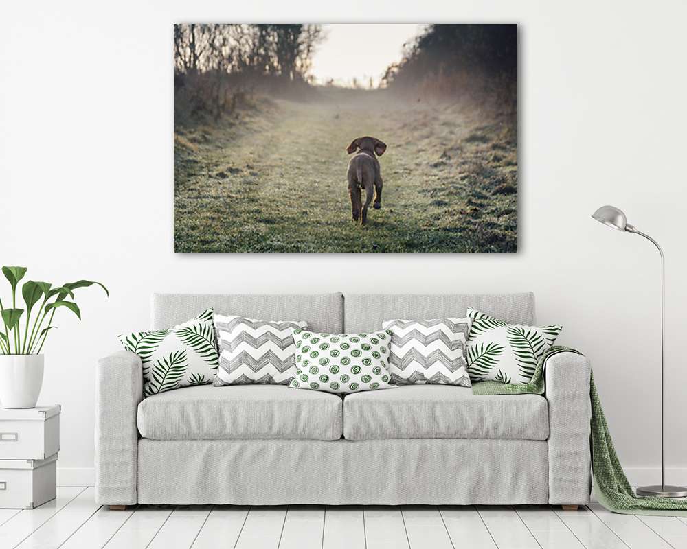 Vizslakölyök felfedezőúton - vászonkép, falikép vásárlás Vizslakölyök felfedezőúton (vászonkép) - vászonkép, falikép otthonra és irodába