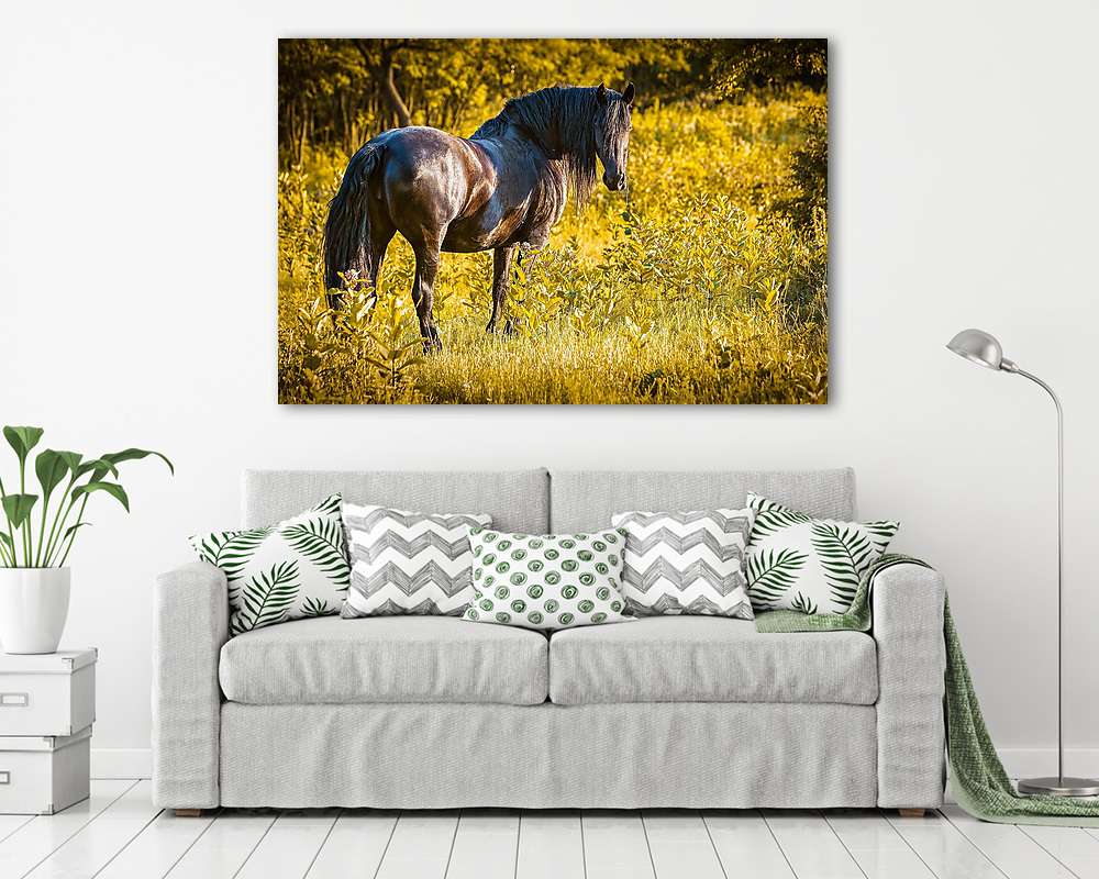 Fríz ló a természetben (vászonkép) - vászonkép, falikép otthonra és irodába