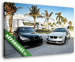 Két BMW pálmákkal - vászonkép 3D látványterv