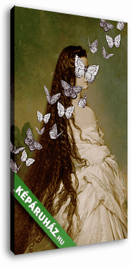 Pillangók (Barokk & Graffiti) - vászonkép 3D látványterv