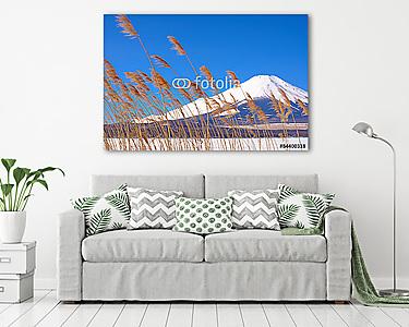 Mountain Fuji a füvön virágokkal elfújva az előtérben (vászonkép) - vászonkép, falikép otthonra és irodába
