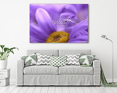 The seed of a dandelion with water drop on purple flower. Beauti (vászonkép) - vászonkép, falikép otthonra és irodába