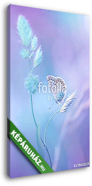 Beautiful light-blue butterfly on blade of grass on a soft lilac - vászonkép 3D látványterv