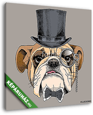 Bulldog portrait in a bowler hat, with a tie and with a monocle. - vászonkép 3D látványterv