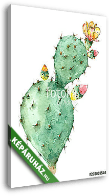 Cactus in blossom - vászonkép 3D látványterv