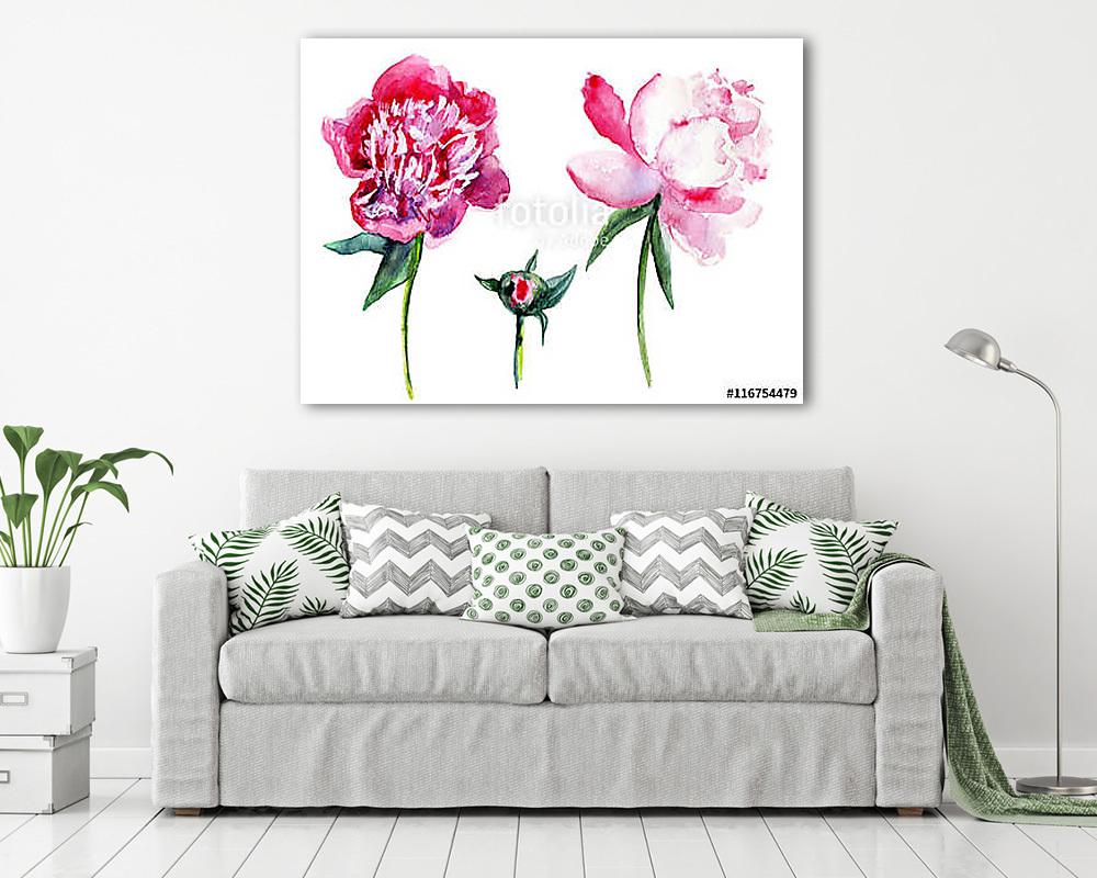 Watercolor pink peony, garden flower isolated on white backgroun - vászonkép, falikép vásárlás Watercolor pink peony, garden flower isolated on white backgroun (vászonkép) - vászonkép, falikép otthonra és irodába