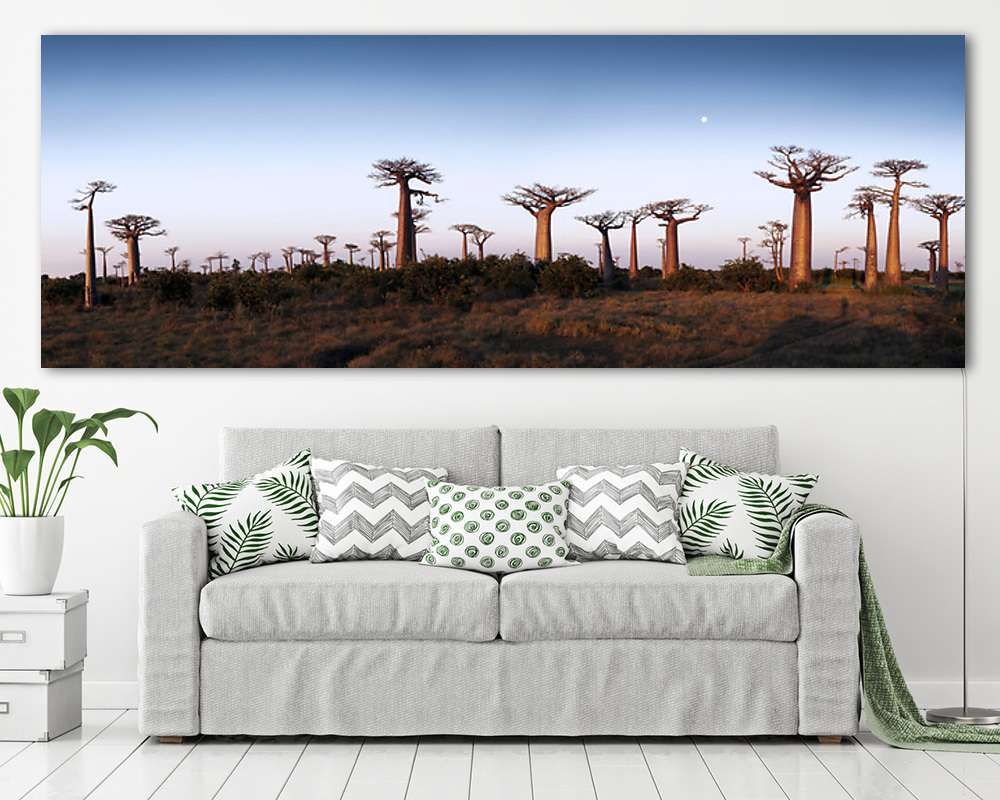Majomkenyérfák útja - Madagascar (többrészes kép) - vászonkép, falikép otthonra és irodába
