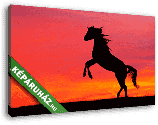 Ágaskodó ló napnyugtában - vászonkép 3D látványterv