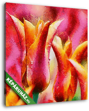 Színes tulipánok - vászonkép 3D látványterv