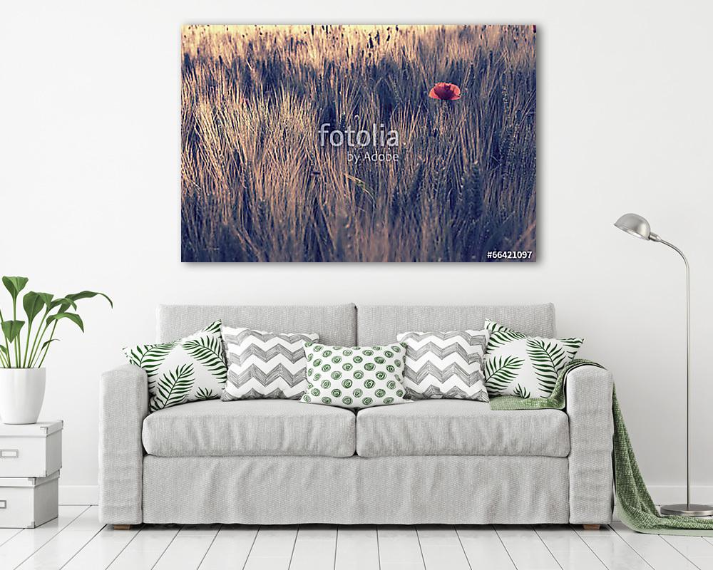 Poppy - vászonkép, falikép vásárlás Poppy (vászonkép) - vászonkép, falikép otthonra és irodába