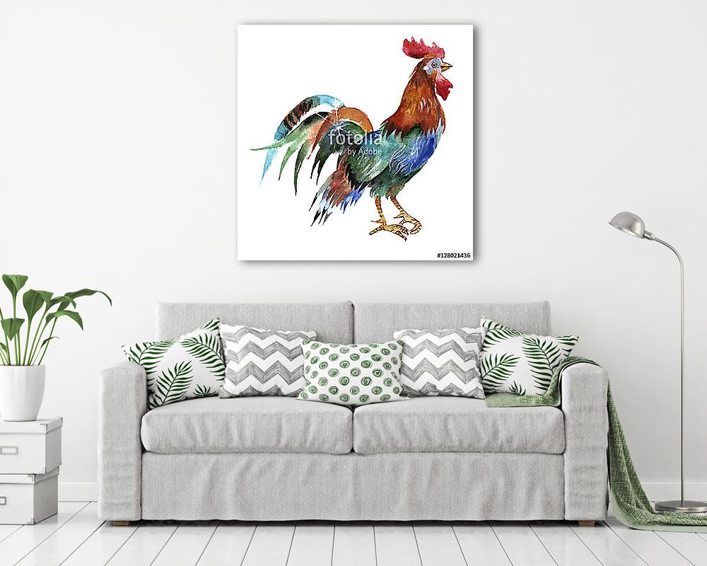 Színes kakas - vászonkép, falikép vásárlás Színes kakas (vászonkép) - vászonkép, falikép otthonra és irodába
