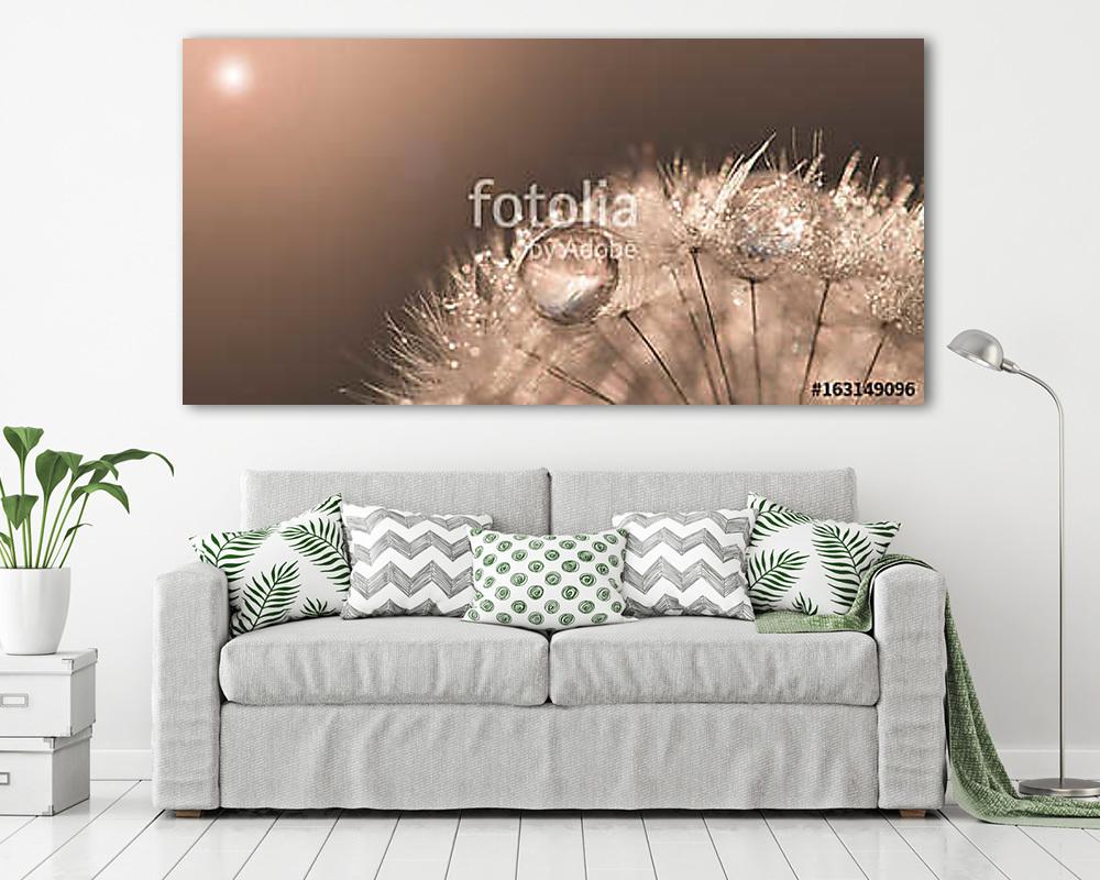 Dandelion with drops of gold and sunlight. Beautiful artwork mac - vászonkép, falikép vásárlás Dandelion with drops of gold and sunlight. Beautiful artwork mac (fotótapéta) - vászonkép, falikép otthonra és irodába