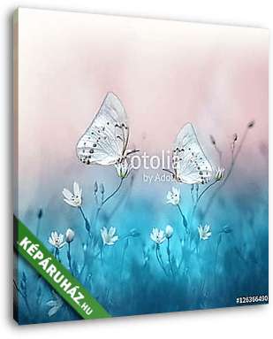 Two beautiful white butterfly on small white flowers on blurred  - vászonkép 3D látványterv