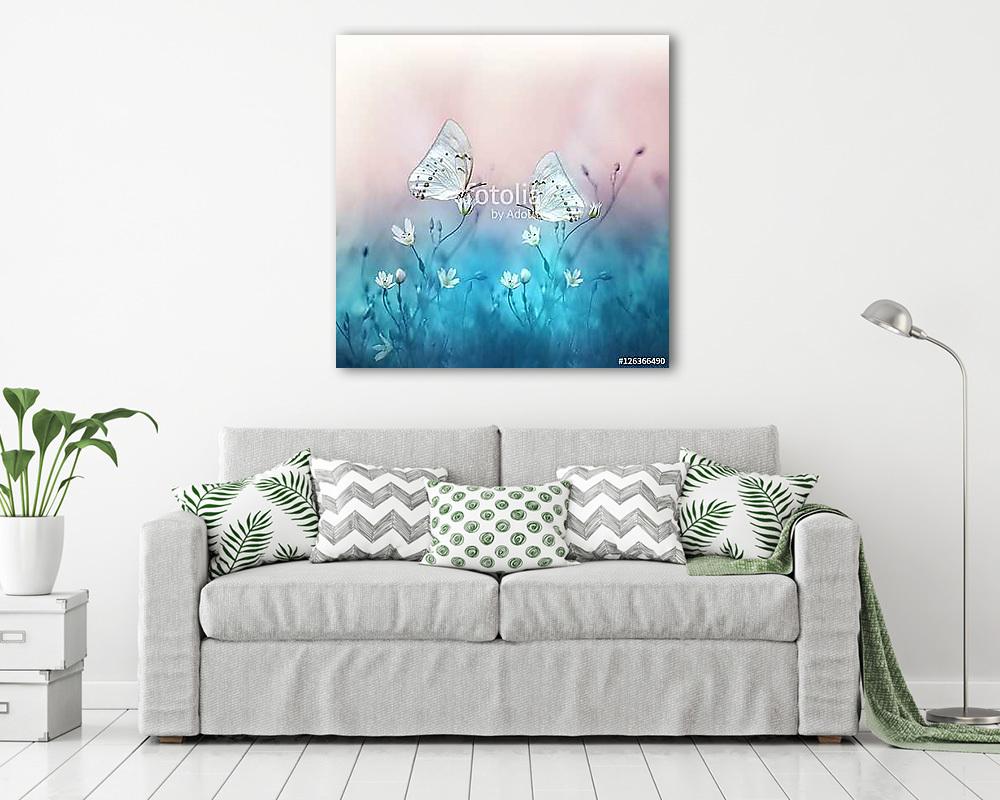 Two beautiful white butterfly on small white flowers on blurred  - vászonkép, falikép vásárlás Two beautiful white butterfly on small white flowers on blurred  (vászonkép) - vászonkép, falikép otthonra és irodába