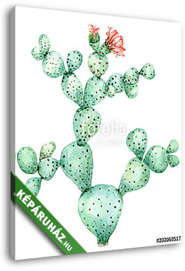 Cactus in blossom - vászonkép 3D látványterv