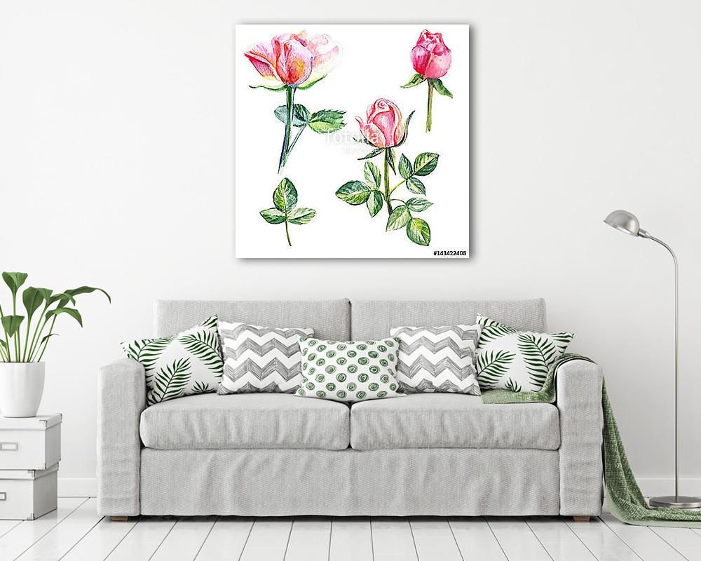Rose flower, petals, bud watercolor hand drawn botanical illustr (vászonkép) - vászonkép, falikép otthonra és irodába