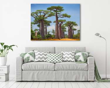 Majomkenyérfa erdő (vászonkép) - vászonkép, falikép otthonra és irodába