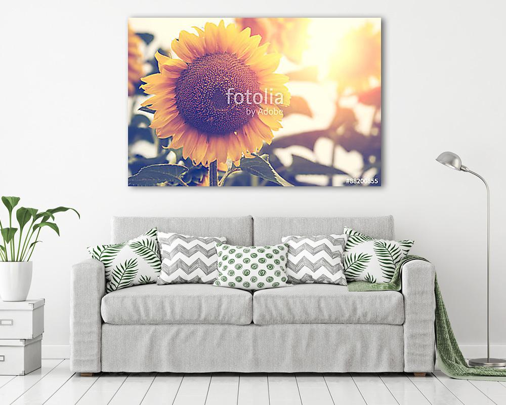 Napraforgók (vászonkép) - vászonkép, falikép otthonra és irodába