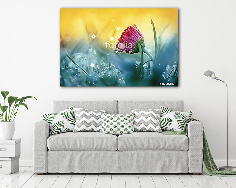 Gyönyörű rózsaszín százszorszép virág fűben a természetben a nap - vászonkép, falikép vásárlás Gyönyörű rózsaszín százszorszép virág fűben a természetben a nap (poszter) - vászonkép, falikép otthonra és irodába