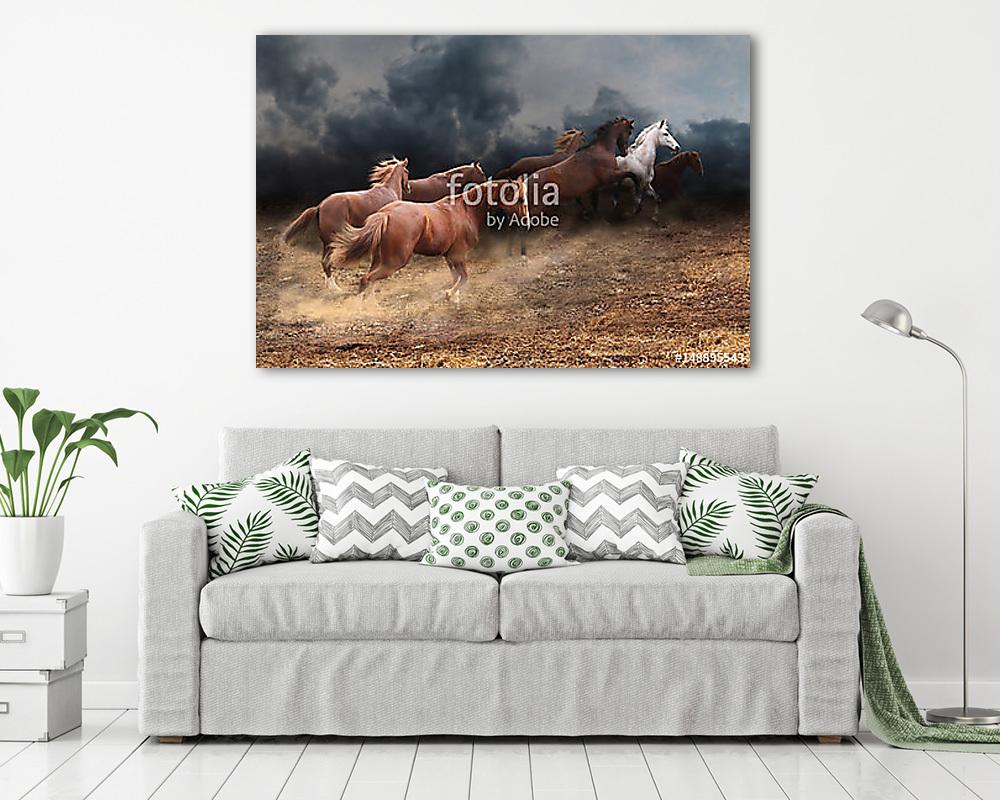 A lovak állományának gyors futása a sztyeppen keresztül (vászonkép) - vászonkép, falikép otthonra és irodába