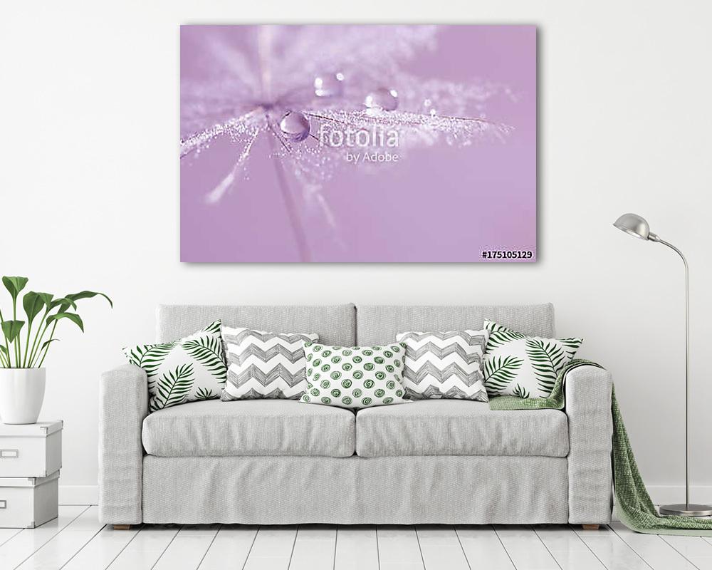 Drops of dew on a dandelion. A beautiful, stylish macro of a dan - vászonkép, falikép vásárlás Drops of dew on a dandelion. A beautiful, stylish macro of a dan (vászonkép) - vászonkép, falikép otthonra és irodába