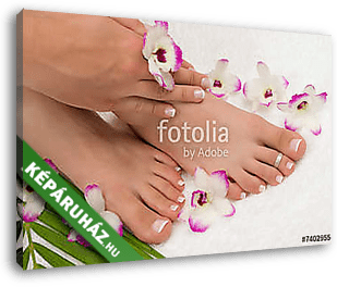 Pedicure - vászonkép 3D látványterv