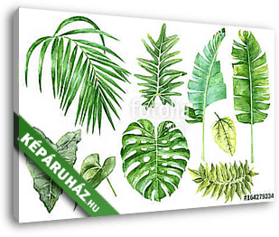 Set of tropical watercolor leaves - vászonkép 3D látványterv