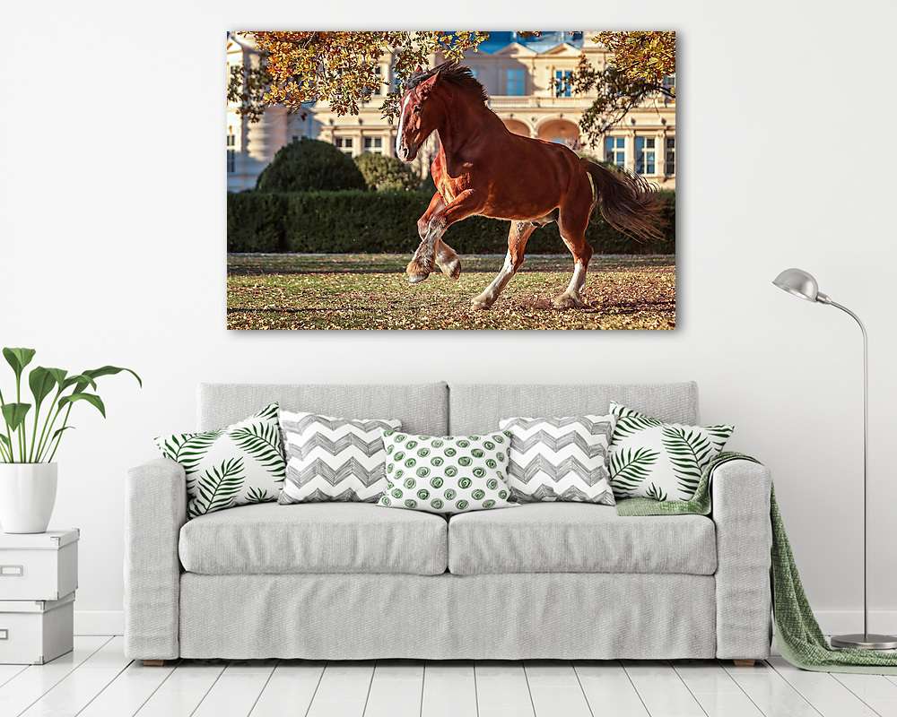Ló a kastély parkban (fotótapéta) - vászonkép, falikép otthonra és irodába