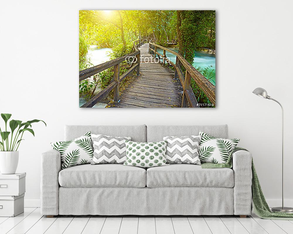 sétány a parkban - vászonkép, falikép vásárlás sétány a parkban (fotótapéta) - vászonkép, falikép otthonra és irodába