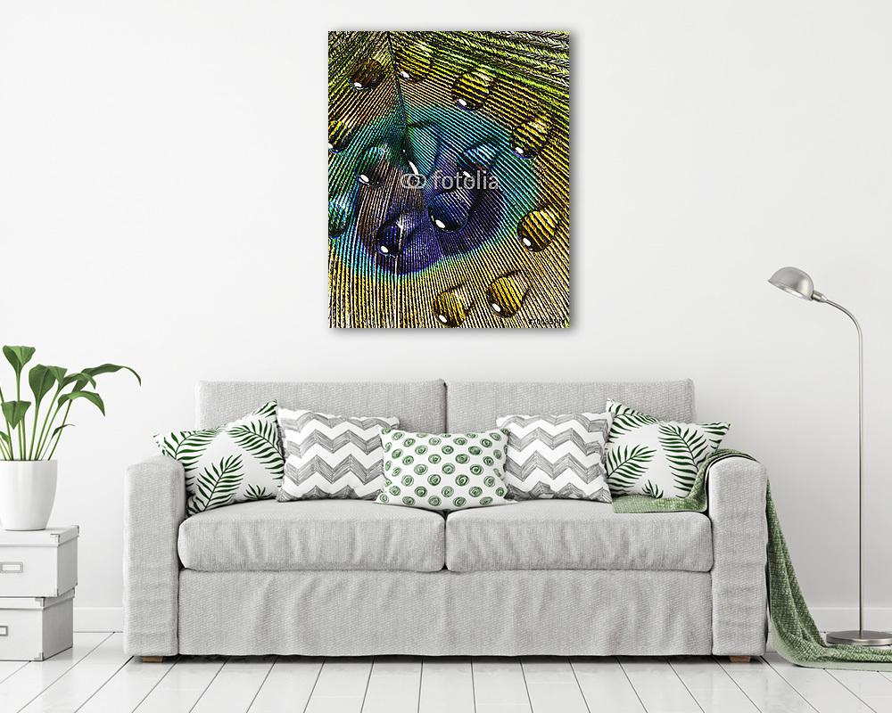 vízcsepp páva tollal (keretezett kép) - vászonkép, falikép otthonra és irodába