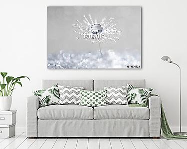 Dandelion with drops of dew in a silver color. (vászonkép) - vászonkép, falikép otthonra és irodába
