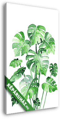 Monstera leaves set. Beautiful watercolor painting of a tropical - vászonkép 3D látványterv