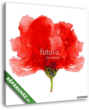 Watercolor poppy on a white background. Can be used for banner,  - vászonkép 3D látványterv