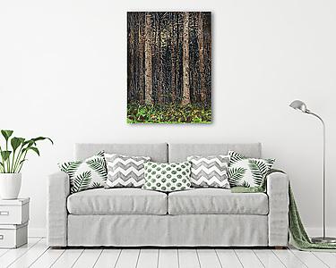 Erdei fák (színverzió 1) (vászonkép) - vászonkép, falikép otthonra és irodába